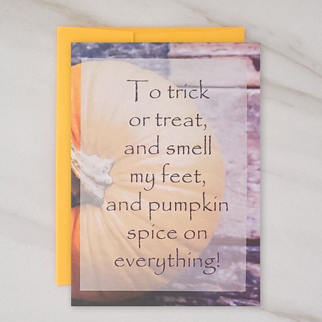 Pumpkin Spice freeshipping - contact