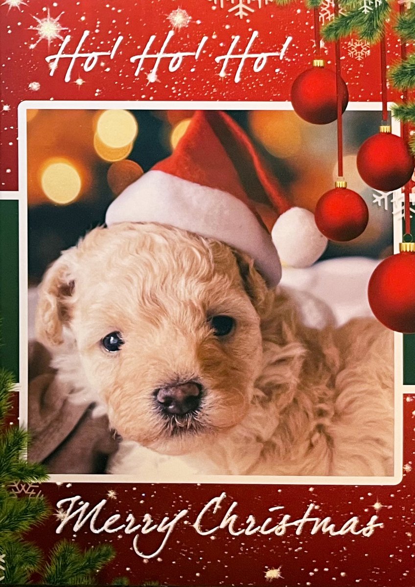 Ho! Ho! Ho! - 3 PACK - contact