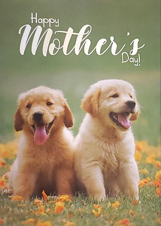 Greeting Card