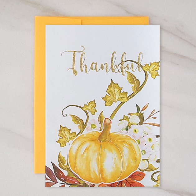 Thankful freeshipping - contact