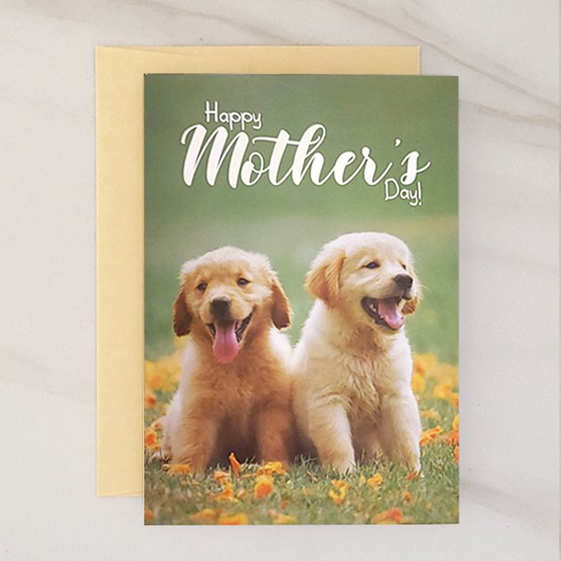 Greeting Card